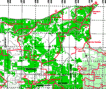 Newberry Snowmobile Trails