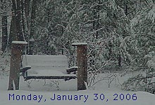 Picnic Table Snow Cam